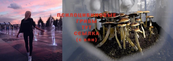 гидра Алексин