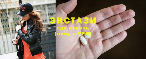 тгк Снежногорск