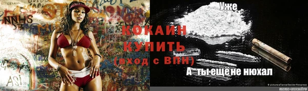 spice Алзамай