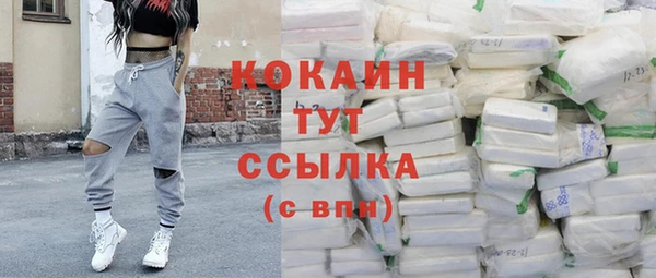 spice Алзамай