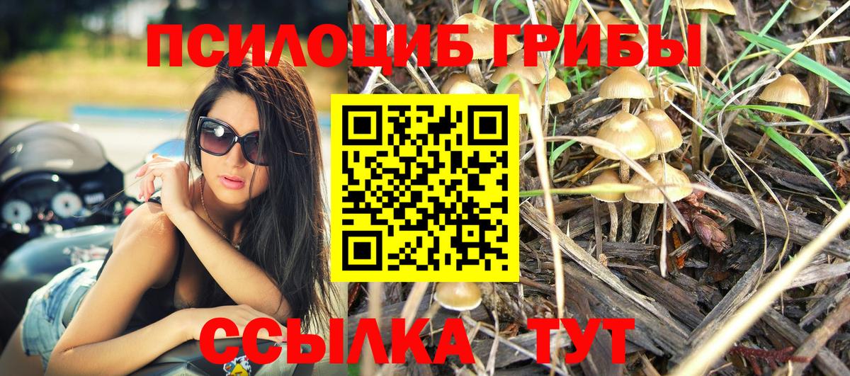 Псилоцибиновые грибы ЛСД Кулебаки