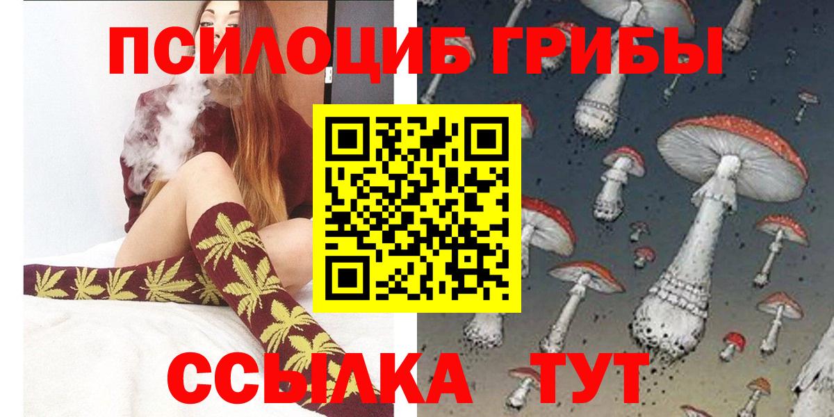 Галлюциногенные грибы Psilocybine cubensis  Галлюциногенные грибы мицелий  Кулебаки  Вход с VPN 